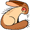 A nervous brown rabbit
