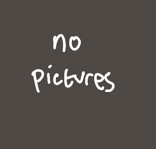 An image that says 'No pictures'